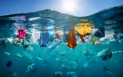 Why Size Matters in 2025: Tackling Fashion Waste with Smart Sizing Solutions